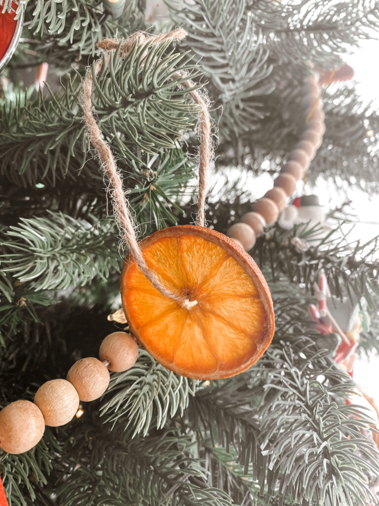 Dried orange slice ornament on a tree. 