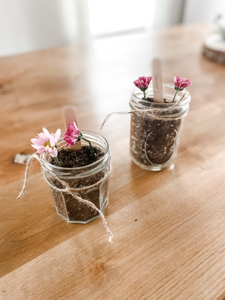 Two jars of soil and flowers on a wood table